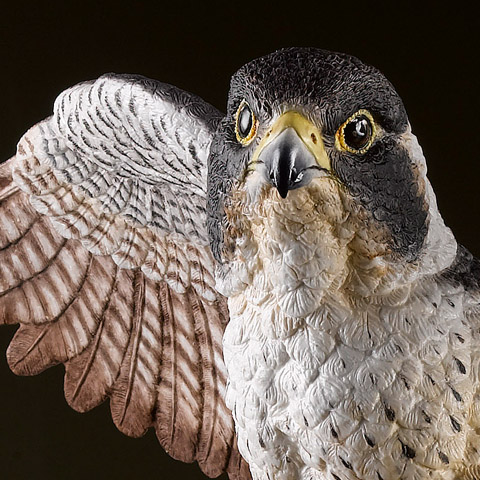 Peregrine Falcon Fine Bone China Sculpture